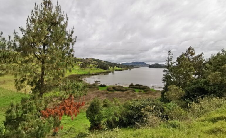  Laguna de Suesca recupera su espejo de agua