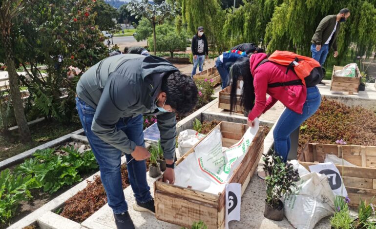  Greenyellow, en alianza con la Corporación Sílaba, inauguran el primer corredor verde sobre cemento en la localidad de Suba