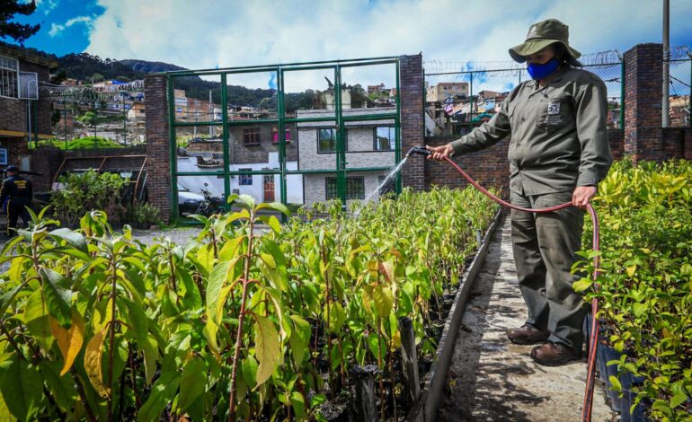  Distrito lanza ‘Mujeres que Reverdecen’